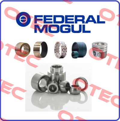 Federal Mogul