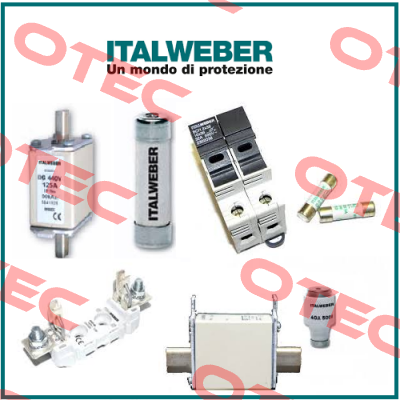 0101251  Italweber