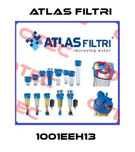 1001EEH13  Atlas Filtri