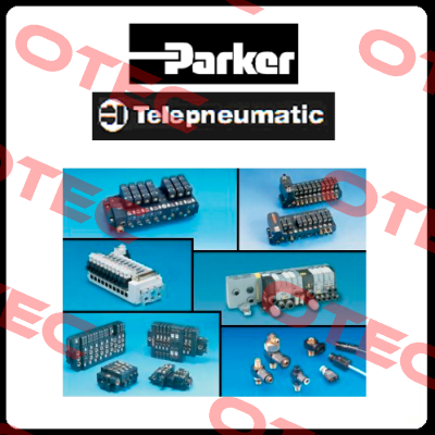 C3S062V2F10I20T30M00  Parker