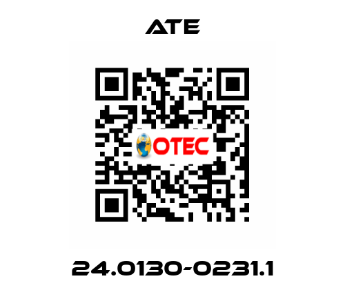 24.0130-0231.1 Ate