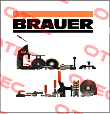 AM40A Brauer