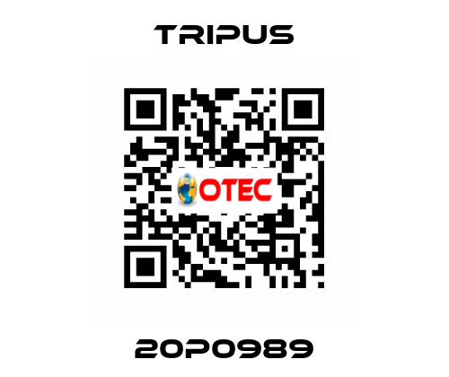 20P0989 Tripus