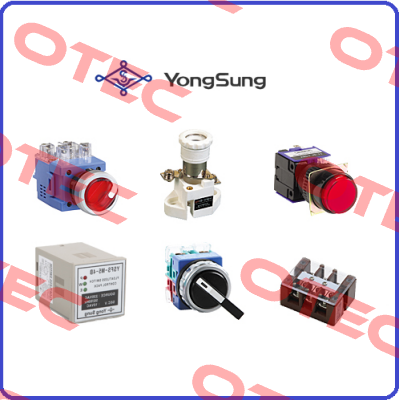 YSFT100-03SF YongSung Electric