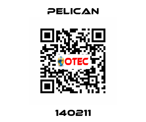140211 Pelican