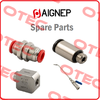 T015103401000  Aignep