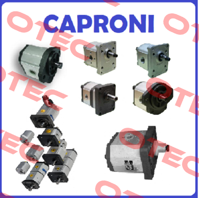 corpus pump for 20C11X030 UVIT Caproni