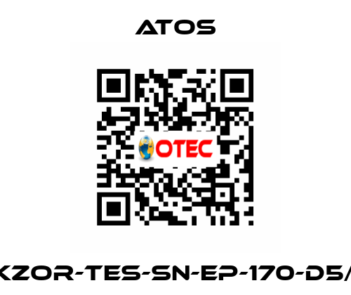 DKZOR-TES-SN-EP-170-D5/FI Atos