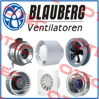 MS-0000-0710 Blauberg
