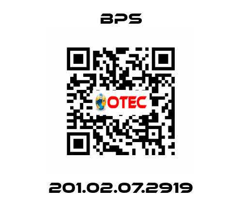 201.02.07.2919 BPS