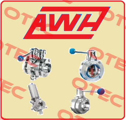 4203 09 001/ Non-return valve Awh