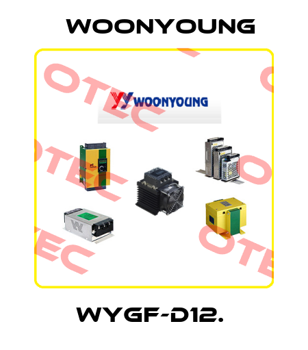 WYGF-D12.  WOONYOUNG