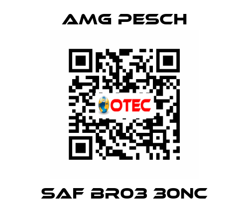 SAF BR03 30NC AMG Pesch