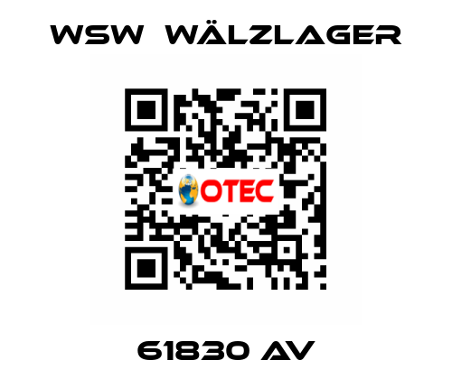 61830 AV WSW  Wälzlager