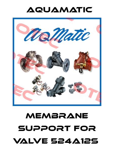 membrane support for valve 524a12s  AquaMatic