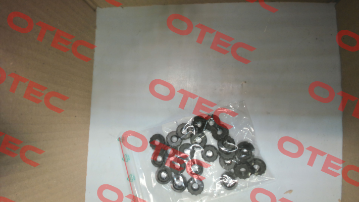 FES540238 Amisco