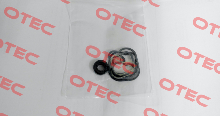 Seal kit pump 00 Caproni