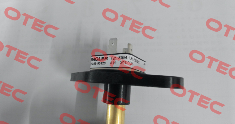 G100805 Engler