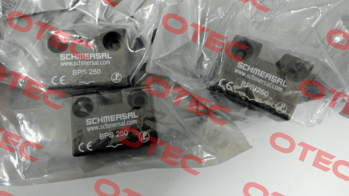 101120594 / BPS 250 Schmersal