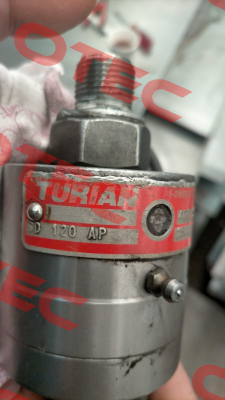 GD-120-AP-C019 Turian