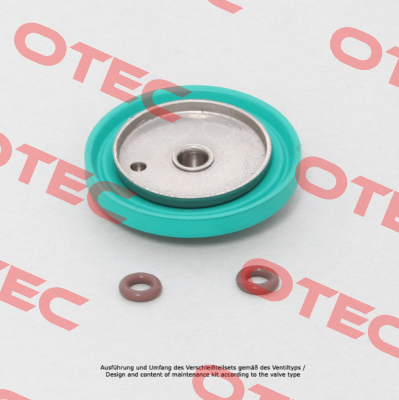 VMEMG2S32XX43015/C End Armaturen