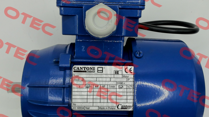 100171/ SEMKG-56-2A2 B14kl Cantoni