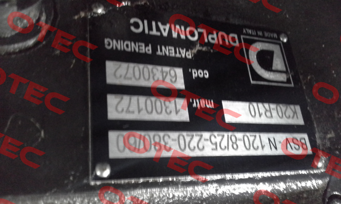 BSV N120-8/25-220-380/60-R10 Duplomatic