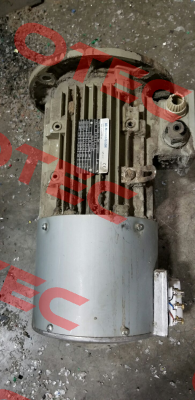 FCA 100LB-8 ALTERNATIVE DM-8-B5-1,1-100L-A-Z0 AC Motoren