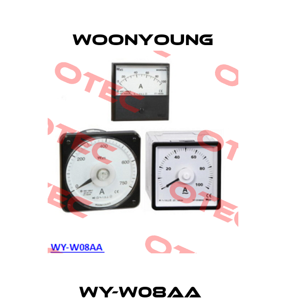 WY-W08AA  WOONYOUNG