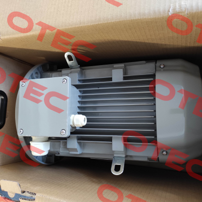 FCPA 132 M 4/PHE / IE3AC13M4001 AC Motoren