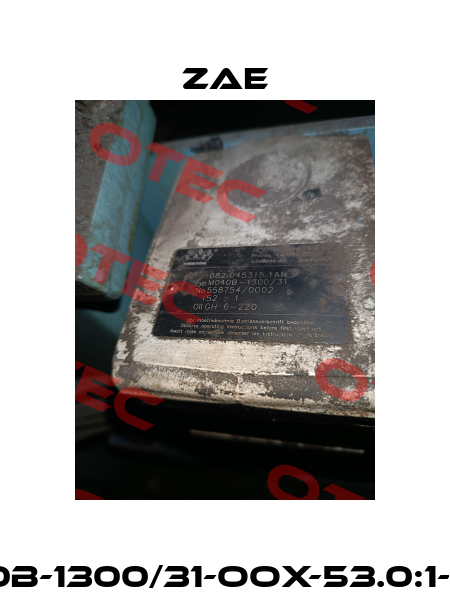 M040B-1300/31-OOX-53.0:1-3000 Zae
