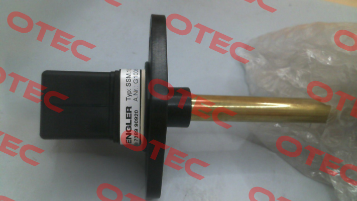 SSM.1.B4.280.5.S1 Engler
