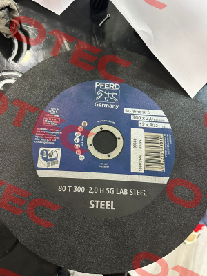 66300100 / 80 T 300-2,0 H SG LAB STEEL/32,0 Pferd